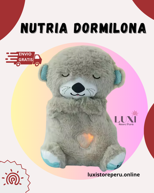 NUTRIA DORMILONA